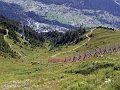 Udoli, Fischeralp